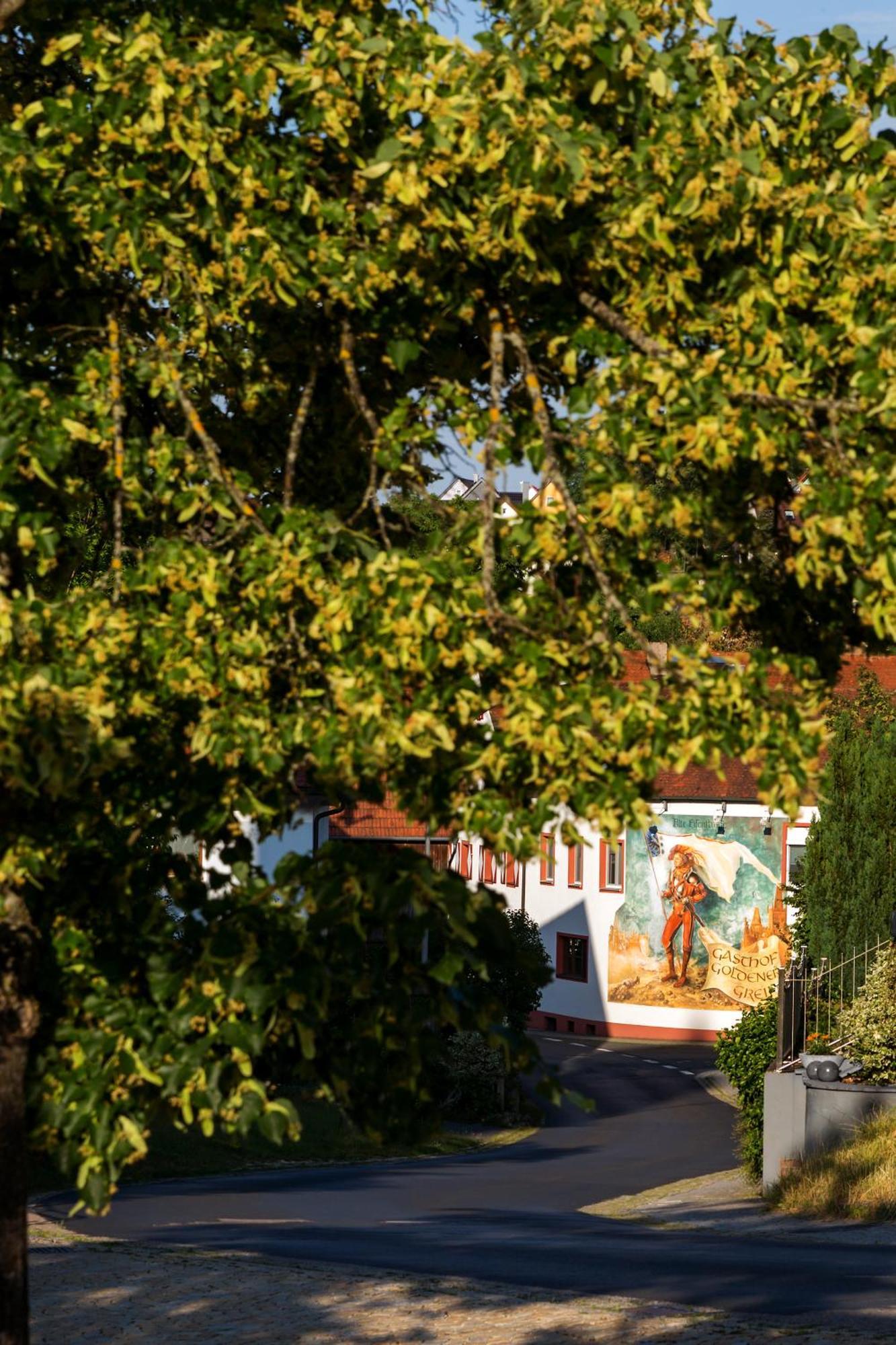 Wirtshaus & Hotel Goldener Greif Edelsfeld エクステリア 写真